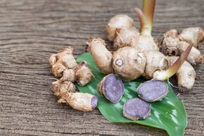Fucoidan Nghệ đen - Bước tiến vượt bậc mang hy vọng cho người hóa xạ